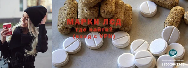 стаф Баксан