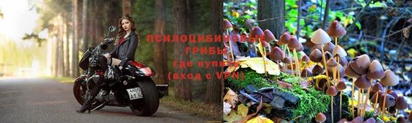стаф Баксан