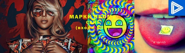 стаф Баксан