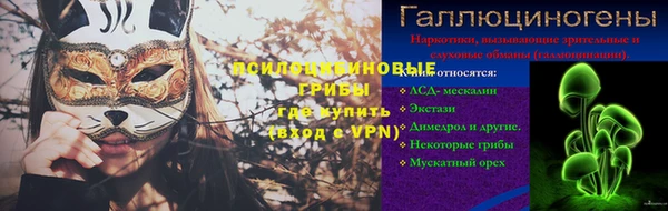 стаф Баксан